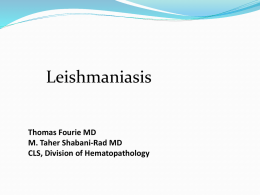 What is Leishmaniasis? - Alberta Vein to Vein Society