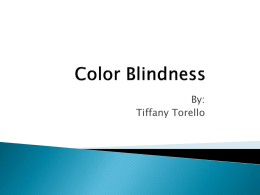 Color Blindness - Sacred Heart Academy
