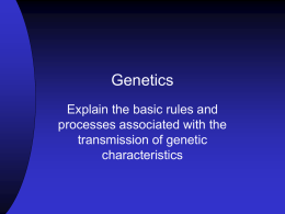 Genetics Notesx