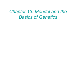 Genetics Review - Net Start Class