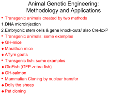 Animal Genetic Engineering: Methodology and Applications