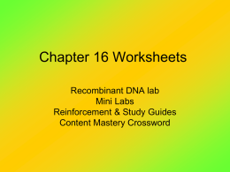Chapter 16 Worksheets