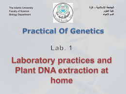 Practical Of Genetics - الجامعة الإسلامية بغزة