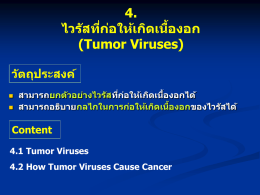 4. Tumor Viruses