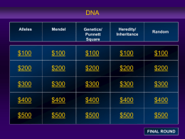 Genetic Review Game