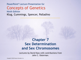 Chapter 7 Sex Determination and Sex Chromosomes