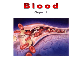 Blood, Diseases and Typing