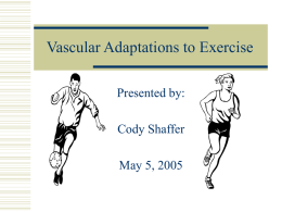 Vascular Adaptations to Exercise
