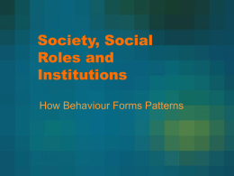 Society, Social Roles and Institutions