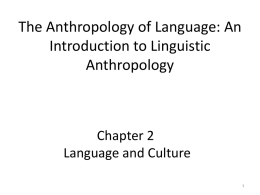 Language and culture
