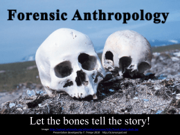 Bone Basics (PPT) - The Science Spot