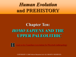 10.9 MB - Human Evolution and Prehistory, Second Canadian Edition
