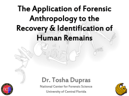 The Application of Forensic Anthropology to the Recovery