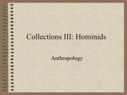 Collections III: Hominids - South Kingstown High School