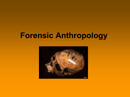 forensic anthropology and odontology (student version).