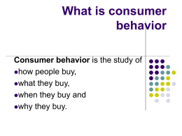 What is consumer behavior