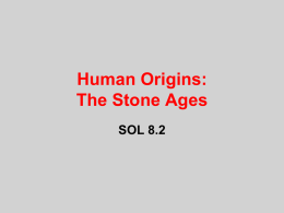 Human Origins - Mr. Lilly