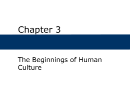 Chapter 3 - Cengage Learning