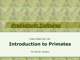 Class Slides Set #12A
