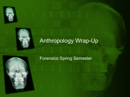 Anthropology Wrap-Up