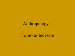Homo erectus in Europe