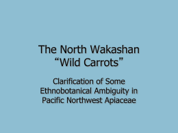 The North Wakashan “Wild Carrots”