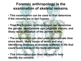 Forensic Anthropology PowerPoint