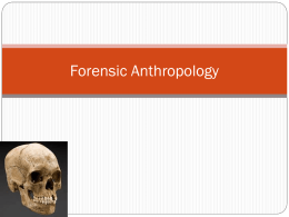 Forensic Anthropologist ppt /Beginning
