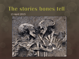 What do forensic anthropologists do?