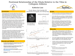 Positional Relationship of the Fibula Relative to the Tibia in
