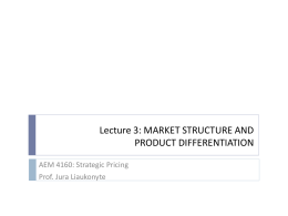 Strategic Pricing AEM 4160