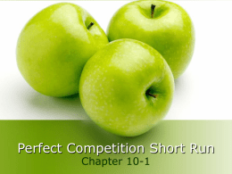 Perfect Competition Short Run