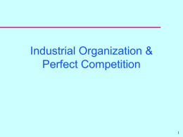 Industrial Organization and Competition