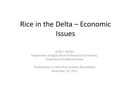 Rice in the Delta – Economic Issues
