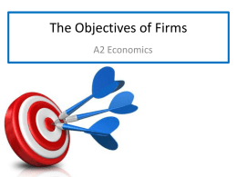 The Objectives of Firms