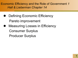 Chapter 14 - Economic Efficiency and the Role of Government