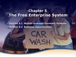 Market-Oriented Economic Systems