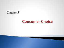 Ch21-- Consumer Choice