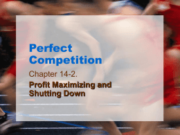 Perfect Competition Profit PPT