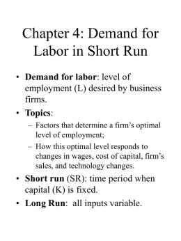 Chapter 4: Demand for Labor in Short Run