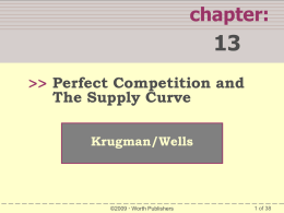 Krugman`s Chapter 13 PPT