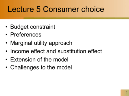 Chapter 5 - Consumer Choice