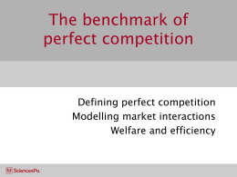 The “ideal” benchmark of perfect competition