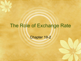 The Role of Exchange Rate