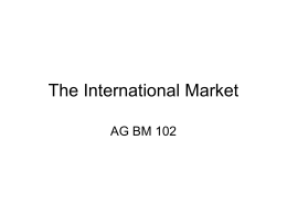 The International Market