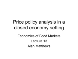Price policy analysis in a closed economy setting