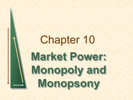 Chapter 10 Market Power