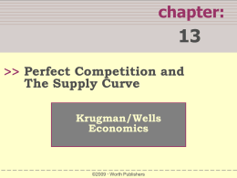 Krugman`s Chapter 13 PPT
