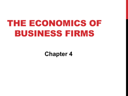 The Economics of Business Firms