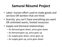 Samurai Résumé Project